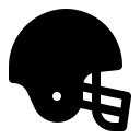 顾彩会
